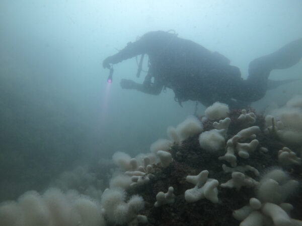 Anglesey 12th/13th June 2021