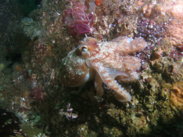ULLAPOOL AND BEYOND!